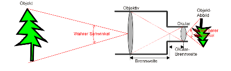 Skizze: Baum betrachtet durch einen Fernrohr-Schitt