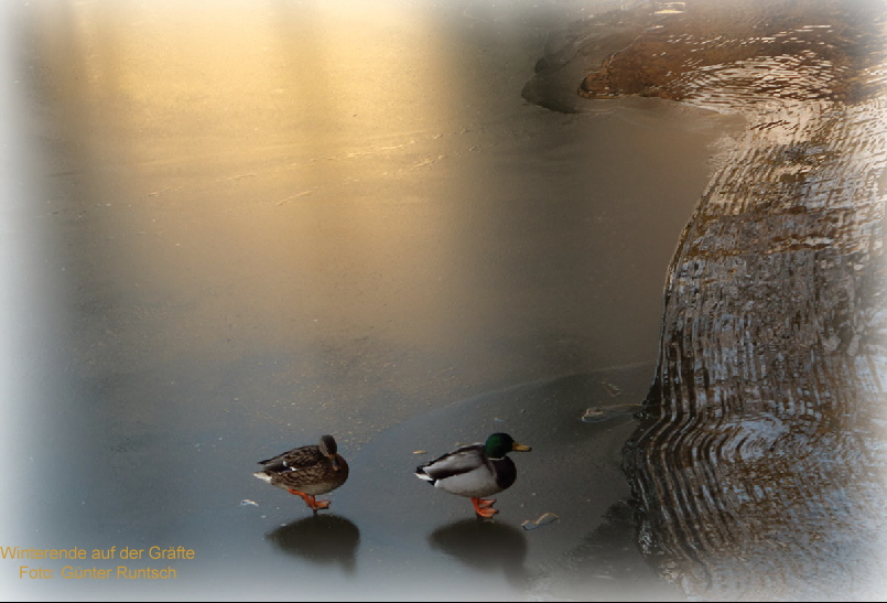 Winterende auf der Grfte