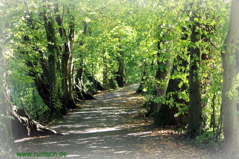 Burg Veschering 2015