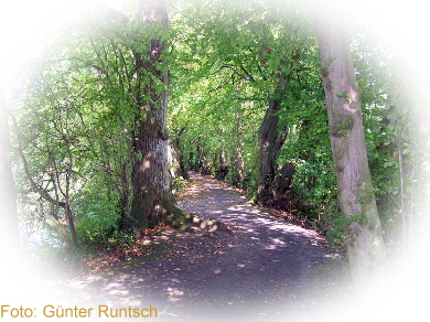 Geheimnisvolle Wege aus grauer Vorzeit rund um die Wasserburgen.