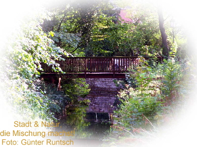 Stadt & Natur, die Mischung machts. 